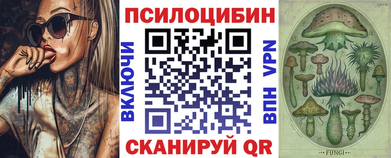хочу наркоту KRAKEN вход Псилоцибиновые грибы мухоморы Ладушкин